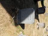 image of grave number 736001
